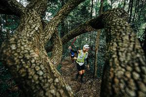 BIB: 
                            <button type="button" onclick="openModal(25392897)" class="btn btn-primary btn-sm float-right btn-popup" data-toggle="modal" data-target=".modal-high-quality">
                        <i class="fas fa-shopping-cart"></i> Add to Cart
                    </button>
                                            <button type="button" onclick="isThisMe(25392897, true)" class="btn btn-success btn-sm float-right btn-popup btn-isme hidden" data-toggle="tooltip" data-placement="bottom" title="นี่คือรูปของคุณใช่ไหม คลิกที่นี่เพื่อเอาเข้าอัลบั้ม">
                        <i class="fas fa-plus"></i> Add to album
                    </button>
                    <button type="button" onclick="isThisMe(25392897, false)" class="btn btn-warning btn-sm float-right btn-popup btn-isnotme hidden">
                        <i class="fas fa-ban"></i> Remove from album
                    </button>